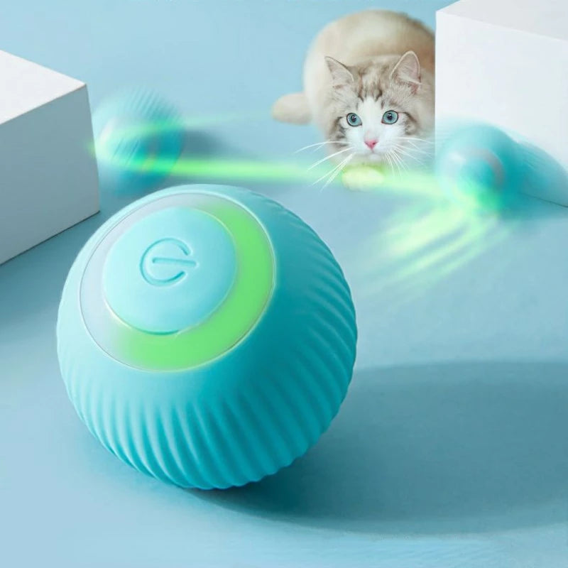 Rolling Ball Cat Toy Type-C