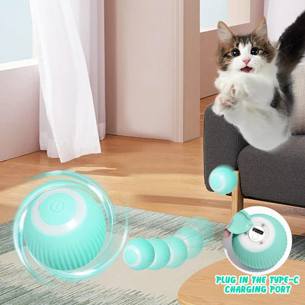 Rolling Ball Cat Toy Type-C